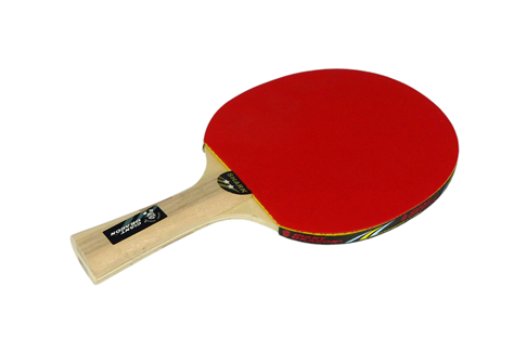 Referencia: 15249, nombre: Pala Tenis de Mesa 2** - Principiantes